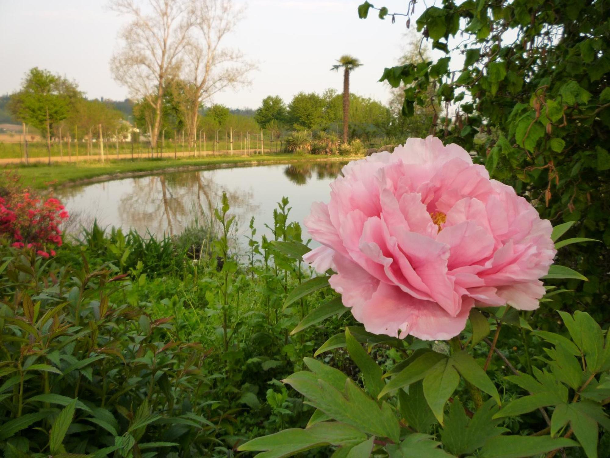 Country House Barone D'Asolo Dış mekan fotoğraf
