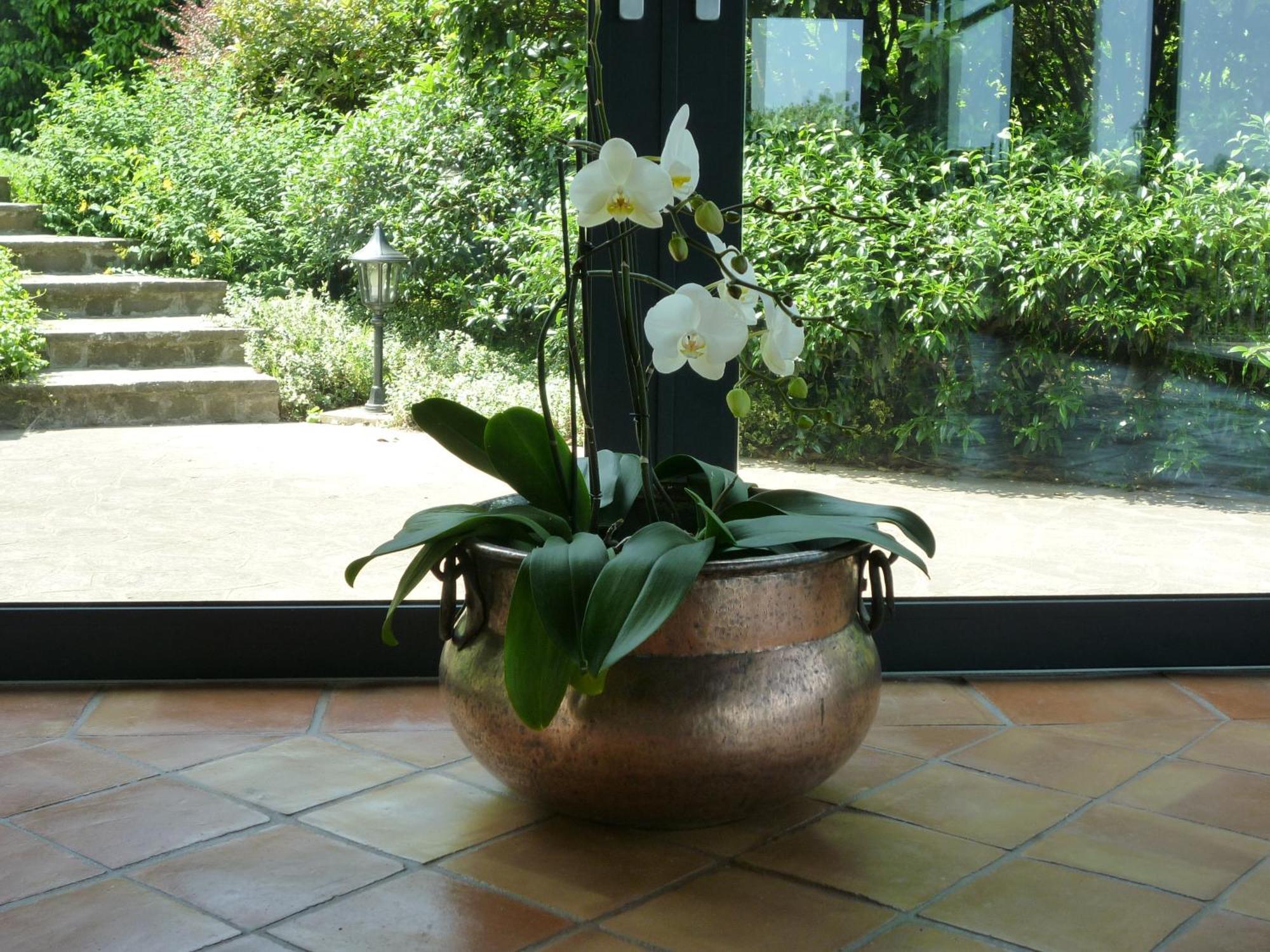 Country House Barone D'Asolo Dış mekan fotoğraf
